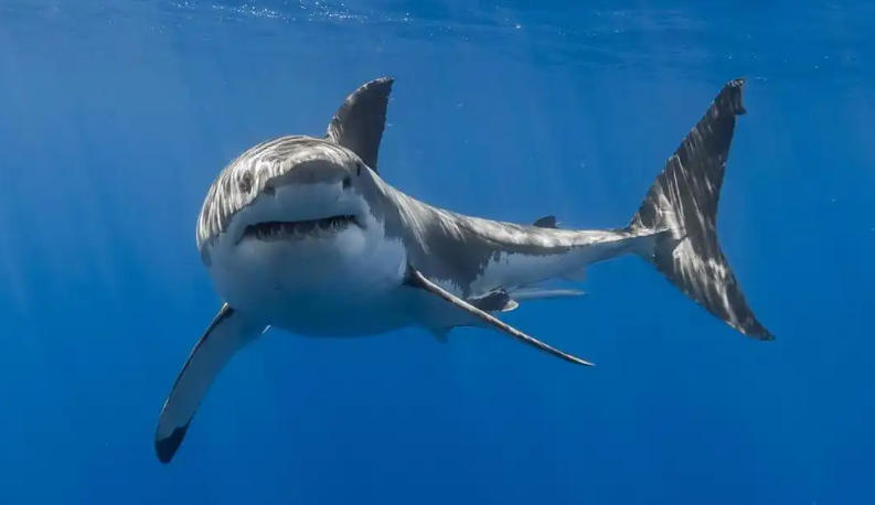 福州欣景园环境设备有限公司轮播图2